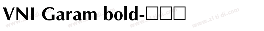 VNI Garam bold字体转换